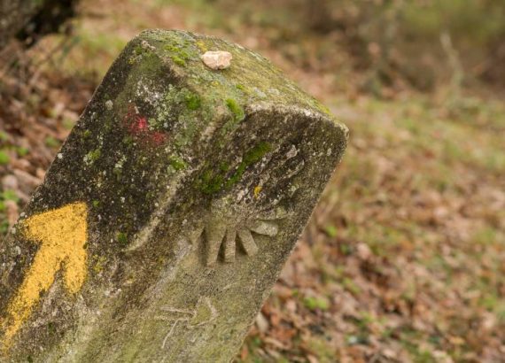 el camino de santiago patrimonio de la humanidad