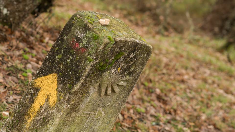 El Camino de Santiago es Patrimonio de la humanidad